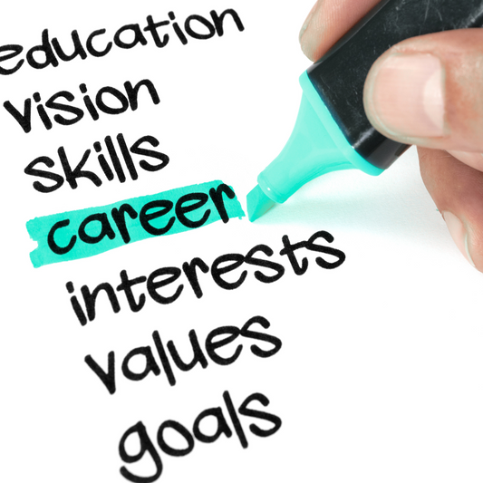 CV/Application Review